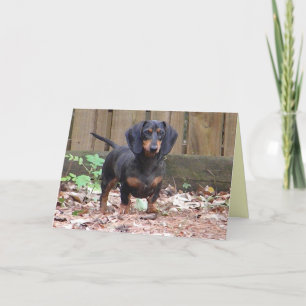 CC - 'We miss you' dachshund card