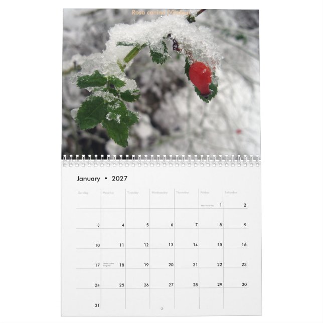 CdG 2010 Calendar (Jan 2027)