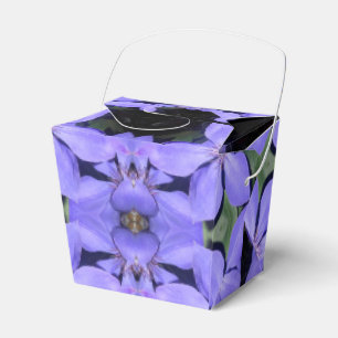 Césarine Favour Box