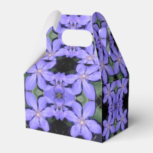 Césarine Favour Box