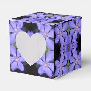 Césarine Favour Box