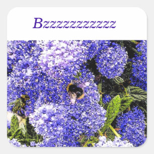 Ceanothus Lilac Flower Bee Square Sticker