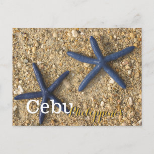 Cebu Philippines Blue Starfish Postcard