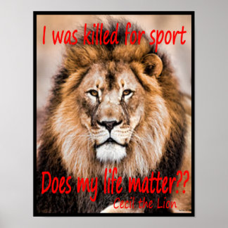 Cecil the Lion - I was killed for sport Poster