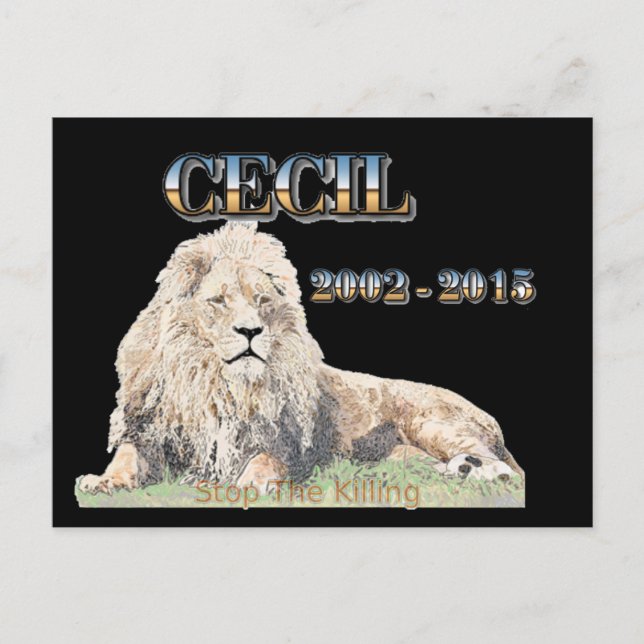 Cecil The Lion Postcard (Front)
