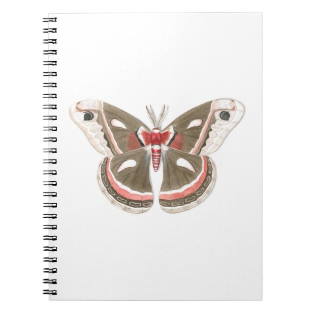 Cecropia Moth Notebook (Front)
