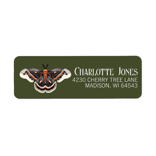 Cecropia Moth Return Address (Front)