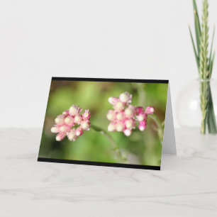 CEDA - FLOWER - BLANK CARD