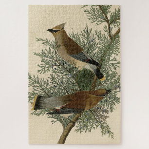 Cedar Bird, Cedar Waxwing Audubon Birds of America Jigsaw Puzzle