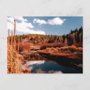 Cedar Breaks National Area, Utah Postcard