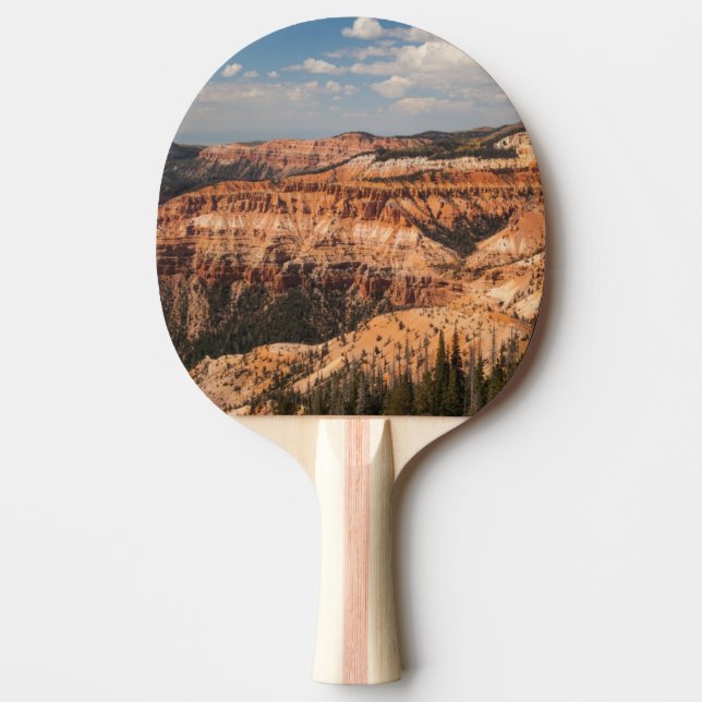Cedar Breaks National Monument, Utah Ping Pong Paddle (Front)