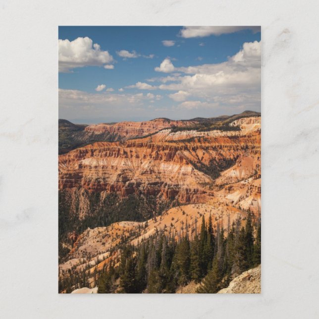 Cedar Breaks National Monument, Utah Postcard (Front)