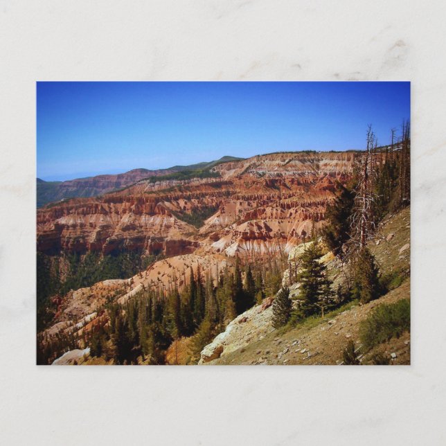 Cedar Breaks National Monument, Utah Postcard (Front)