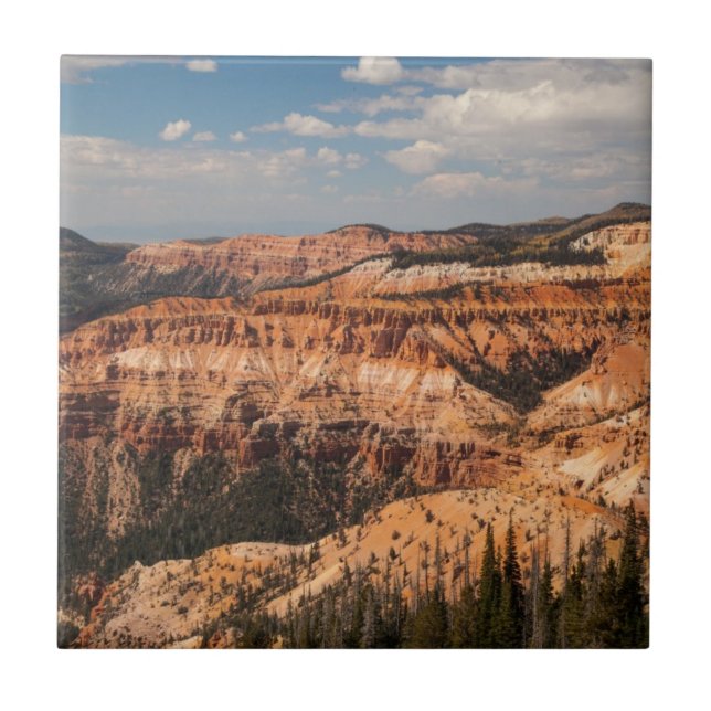 Cedar Breaks National Monument, Utah Tile (Front)