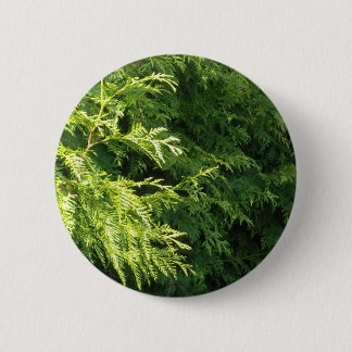 Cedar Hedge 6 Cm Round Badge