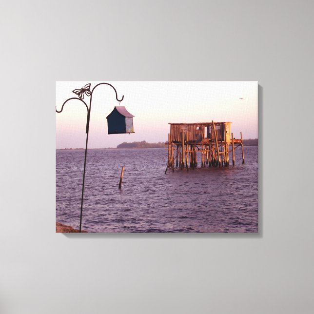 Cedar Key Bird Feeder Canvas Print (Front)