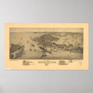Cedar Key Florida 1884 Antique Panoramic Map Poster