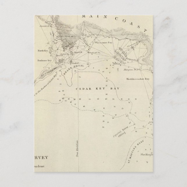 Cedar Keys, Fla Postcard (Front)