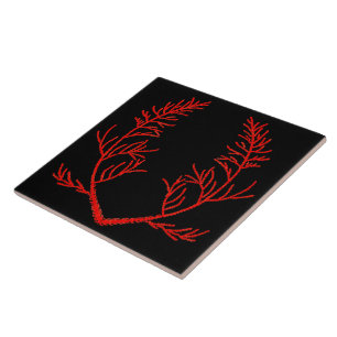 Cedar Leaves on a Black Ceramic Tile