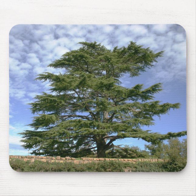Cedar of Lebanon Mouse Mat (Front)