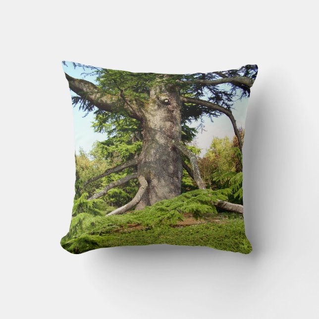 Cedar-of-Lebanon Tree Throw Cushion (Front)