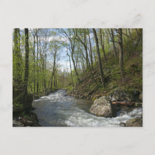 Cedar Run at White Oak Canyon Postcard
