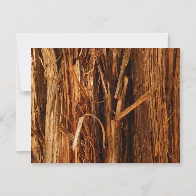 Cedar Textured Wooden Bark Look Card (Front)