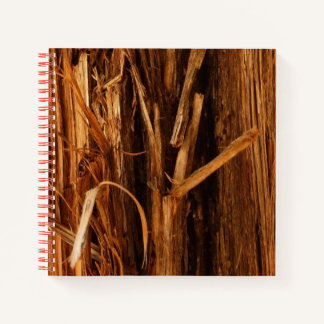 Cedar Textured Wooden Bark Look Notebook