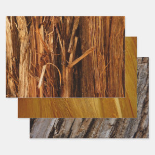 Cedar Textured Wooden Bark Look Wrapping Paper Sheet