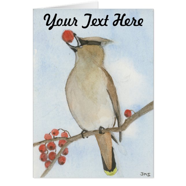 Cedar Waxwing (Front)