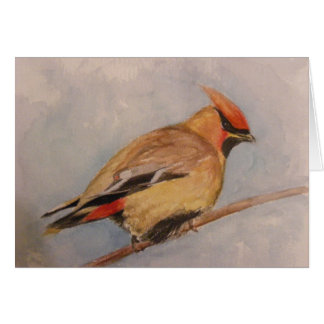 Cedar Waxwing
