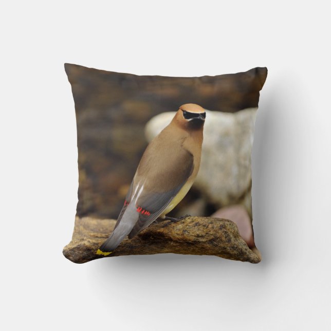 Cedar Waxwing American MoJo Pillow (Front)