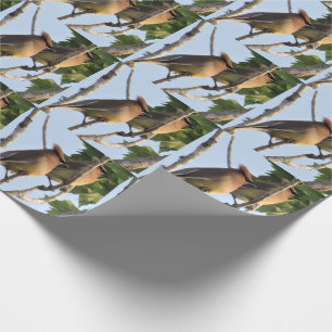Cedar Waxwing - Backyard Bird -Wrapping Paper Roll