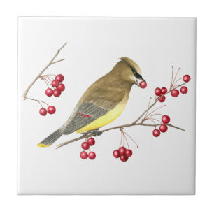 Cedar Waxwing Bird Art Tile