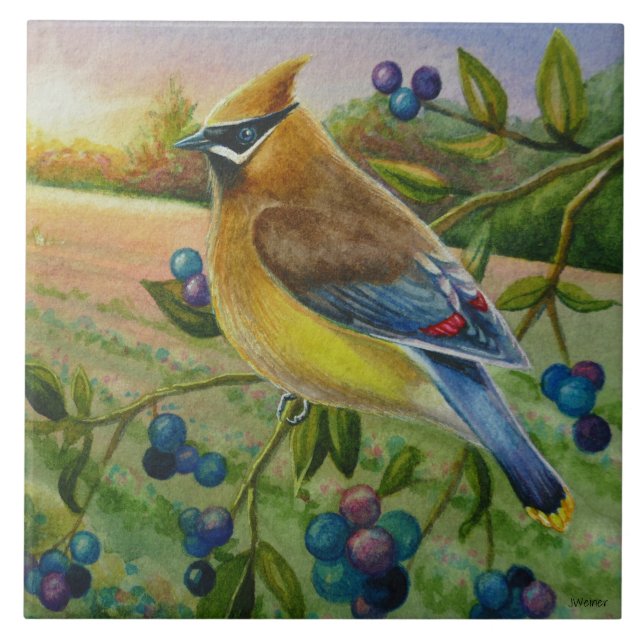 Cedar Waxwing Bird Blueberry Farm Watercolor Art Tile (Front)