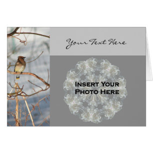 Cedar Waxwing Bird In Winter Photo Card