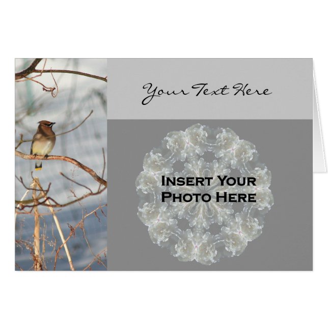 Cedar Waxwing Bird In Winter Photo Card (Front Horizontal)