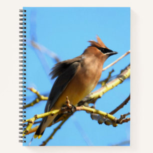 Cedar Waxwing Bird Notebook