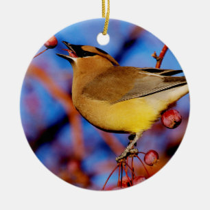 Cedar Waxwing Ceramic Tree Decoration