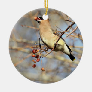 Cedar Waxwing Eating Berries Ceramic Tree Decoration