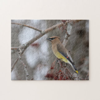 Cedar Waxwing Jigsaw Puzzle