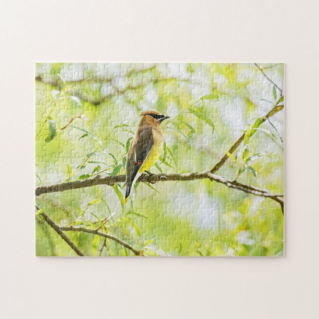 Cedar Waxwing Jigsaw Puzzle (Horizontal)