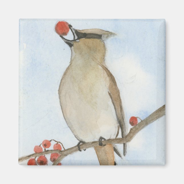 Cedar Waxwing Magnet (Front)