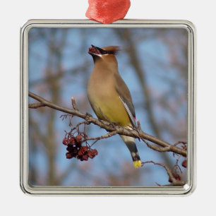 Cedar Waxwing Metal Tree Decoration