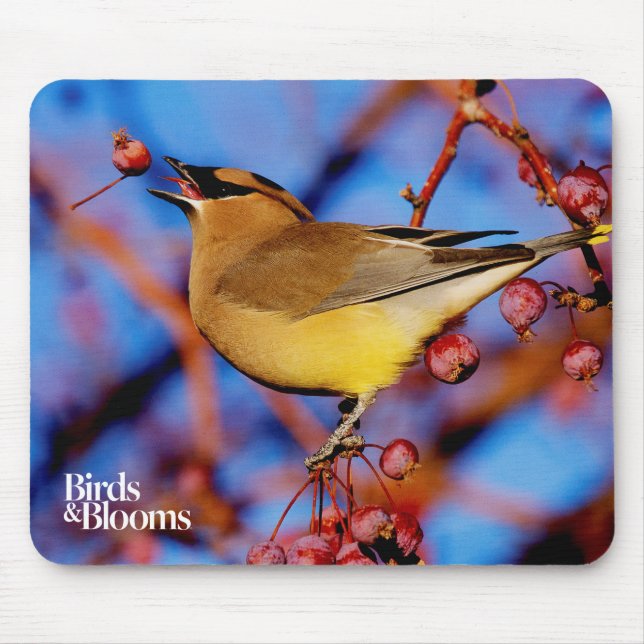 Cedar Waxwing Mouse Mat (Front)