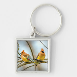 Cedar Waxwing - Original Photograph Key Ring
