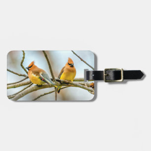 Cedar Waxwing - Original Photograph Luggage Tag