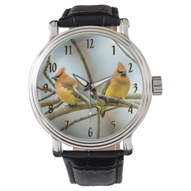 Cedar Waxwing - Original Photograph Watch (Front)
