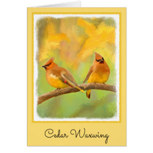 Cedar Waxwing Painting - Cute Original Dog Art