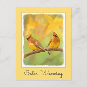 Cedar Waxwing Painting - Cute Original Dog Art Postcard
